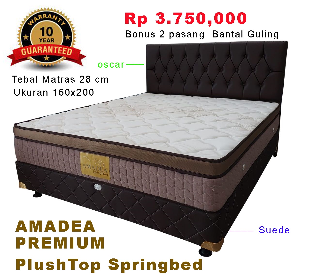 AMADEA PLUSH TOP PREMIUM 23 10 20.jpg/