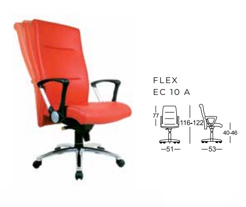 EC 10 A.jpg/